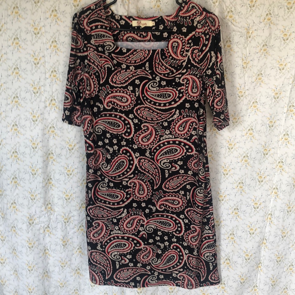 ARYEH blue, cream, and red paisley print short midi sleeve dress. Size Small.